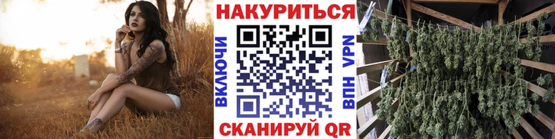 МАРИХУАНА план где купить Знаменск